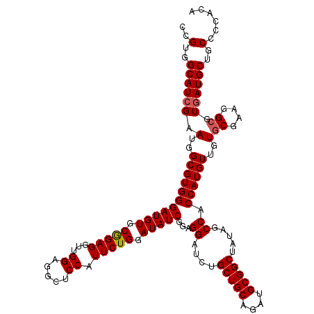 secondary structure