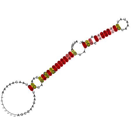 secondary structure
