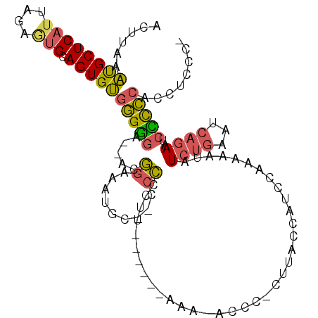 secondary structure