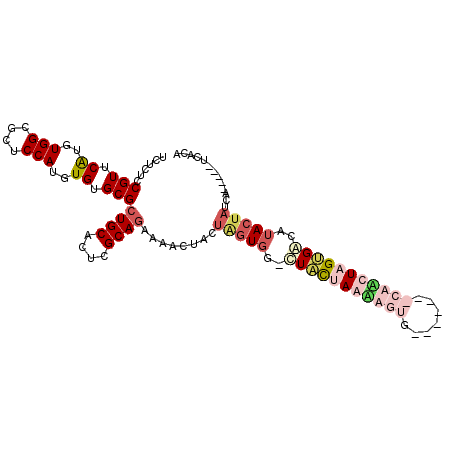 secondary structure
