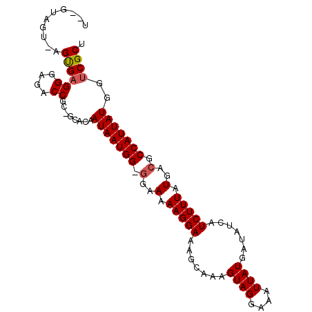 secondary structure