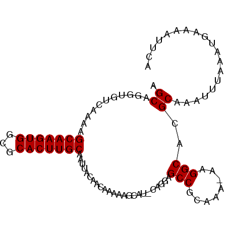 secondary structure