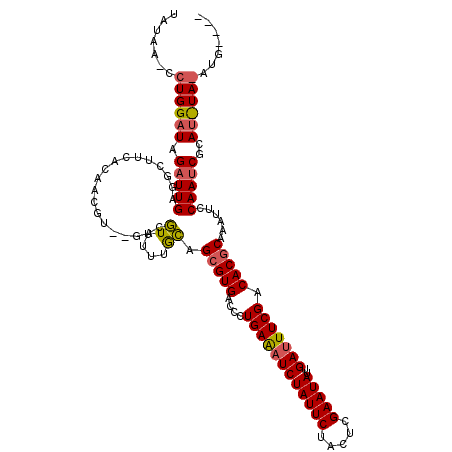 secondary structure