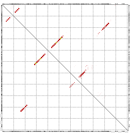 dotplot