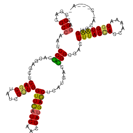 secondary structure