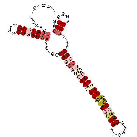 secondary structure