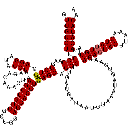secondary structure