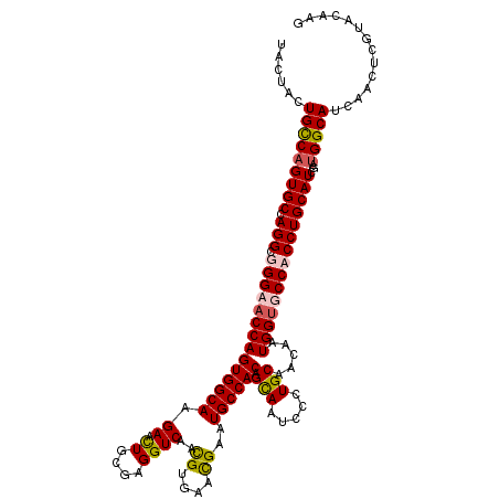 secondary structure