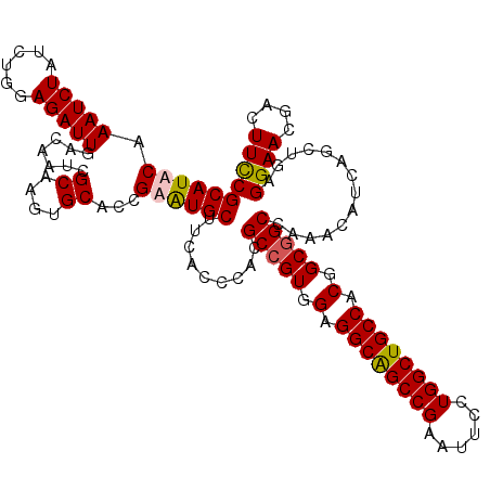 secondary structure