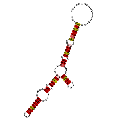 secondary structure