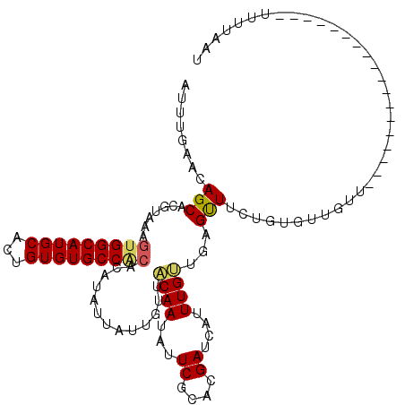 secondary structure