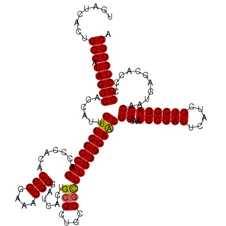 secondary structure