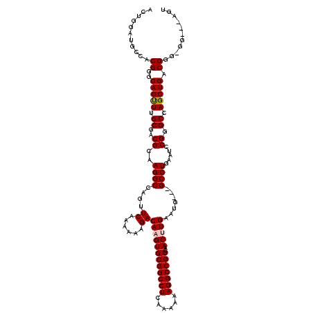 secondary structure