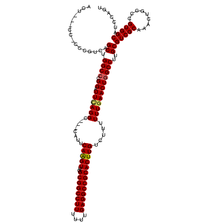 secondary structure
