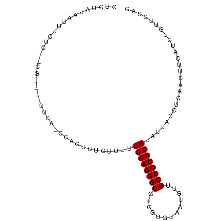 secondary structure