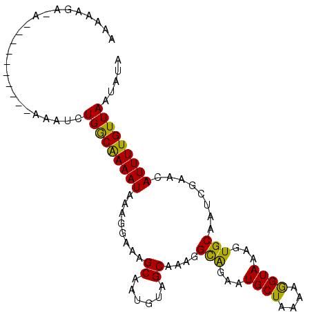 secondary structure