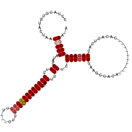 secondary structure