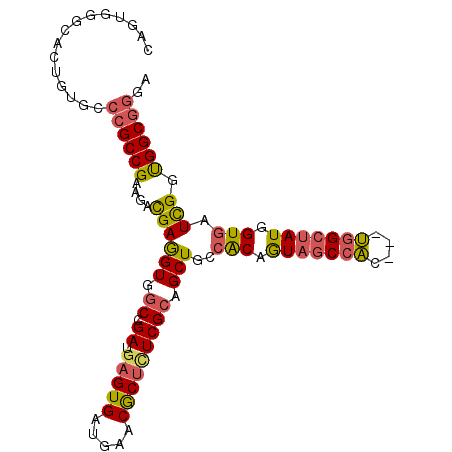 secondary structure