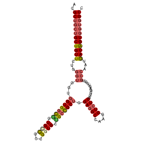 secondary structure