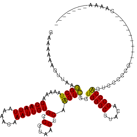 secondary structure