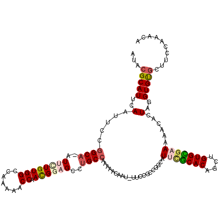 secondary structure