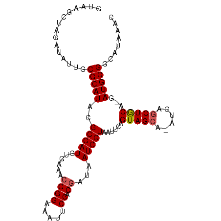 secondary structure