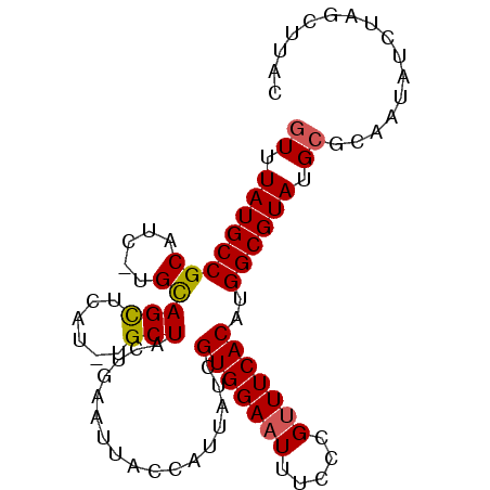 secondary structure