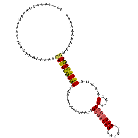 secondary structure