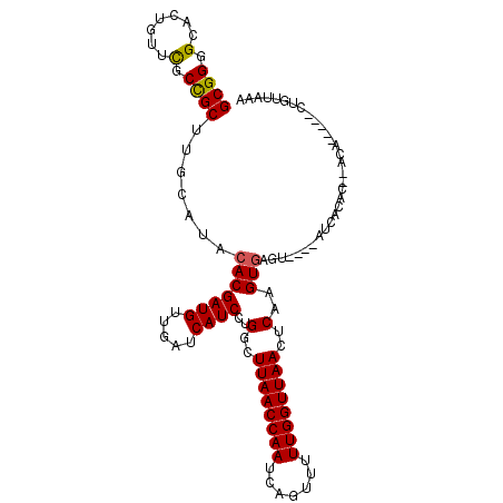 secondary structure