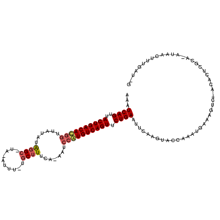 secondary structure