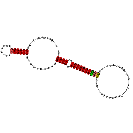 secondary structure
