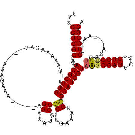 secondary structure