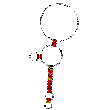 secondary structure