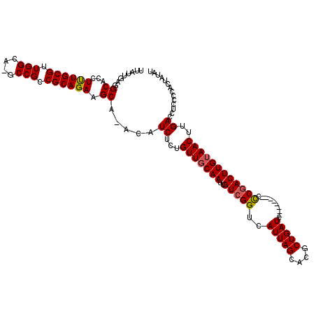 secondary structure