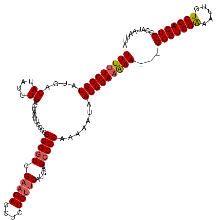secondary structure