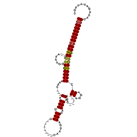 secondary structure