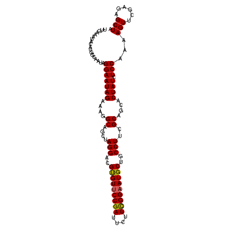 secondary structure