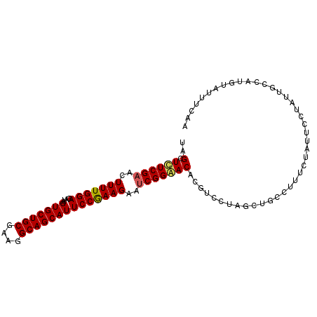 secondary structure