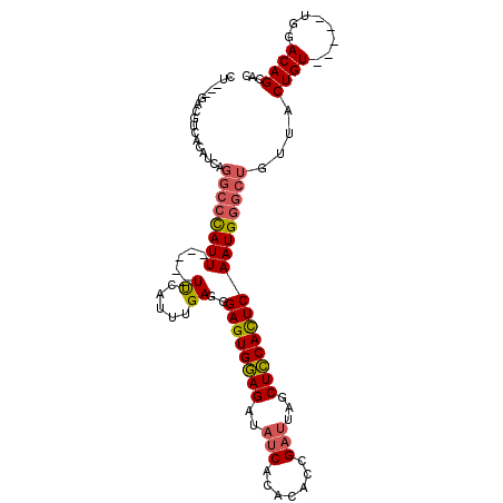 secondary structure