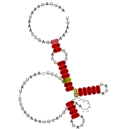 secondary structure