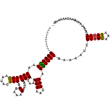 secondary structure