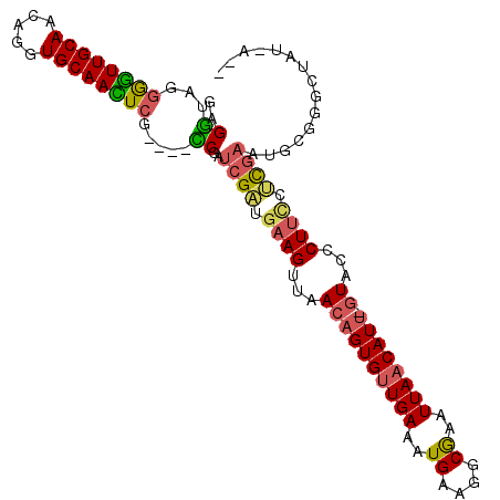 secondary structure