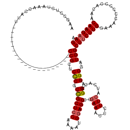 secondary structure