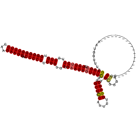 secondary structure