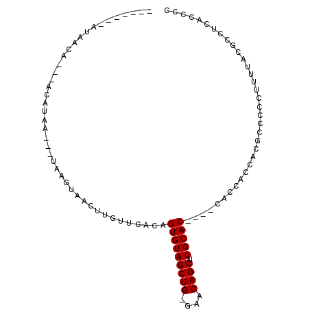 secondary structure