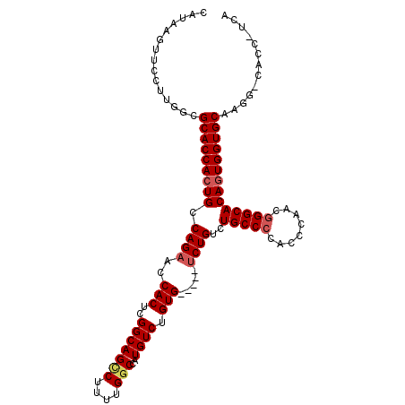 secondary structure