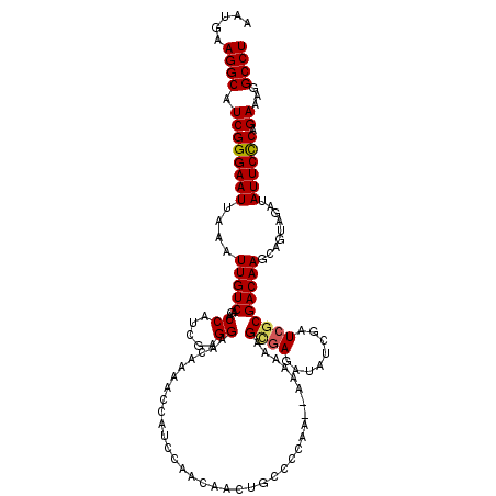 secondary structure