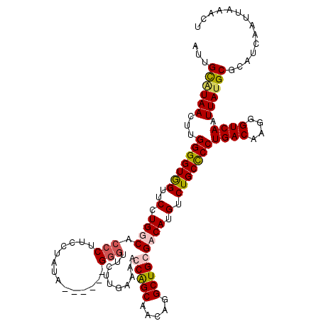 secondary structure