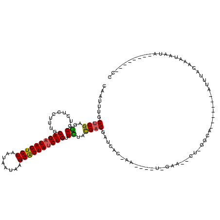 secondary structure