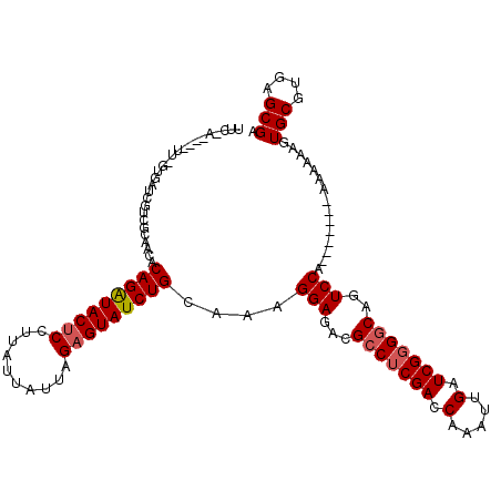 secondary structure
